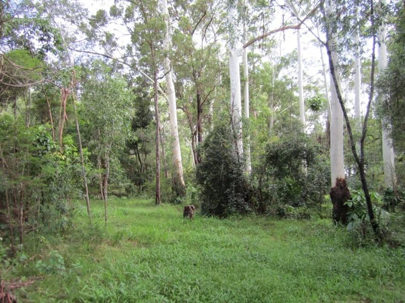 Boreen Point QLD 4565