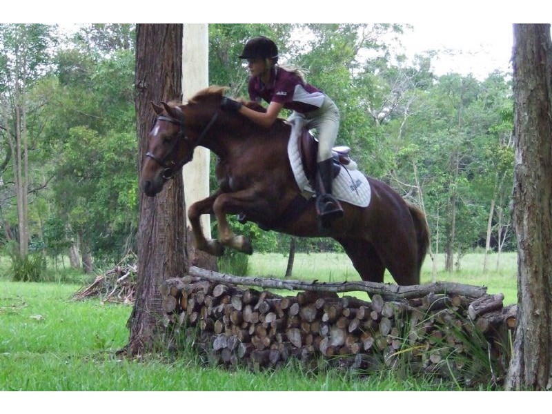 646 Cootharaba Road, Cootharaba QLD 4565