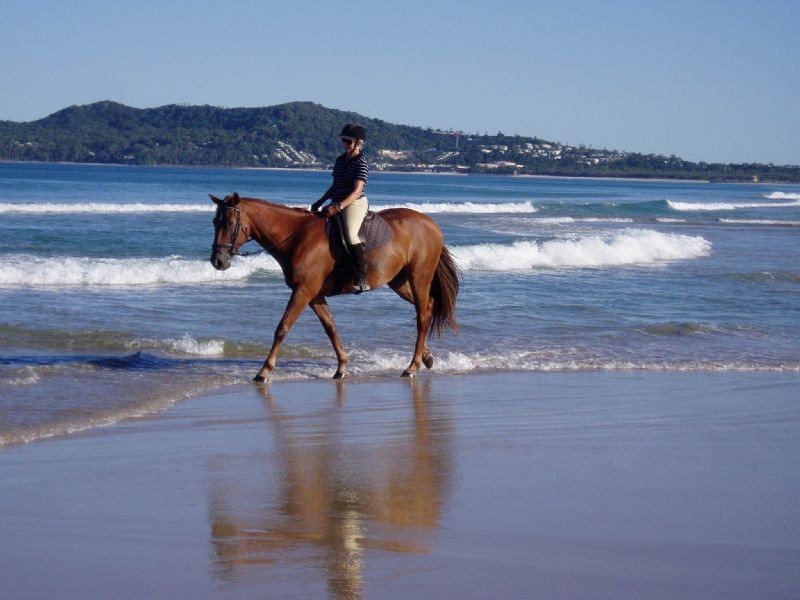 646 Cootharaba Road, Cootharaba QLD 4565