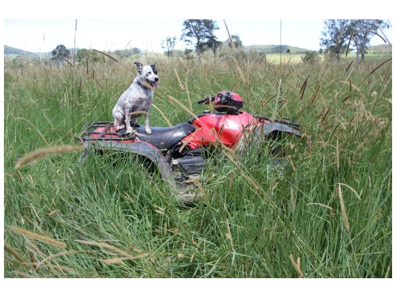 769 Neusa Vale Road, Kin Kin QLD 4571