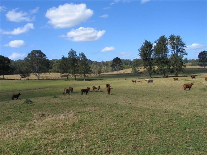 769 Neusa Vale Road, Kin Kin QLD 4571