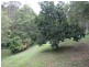 Cooran QLD 4569