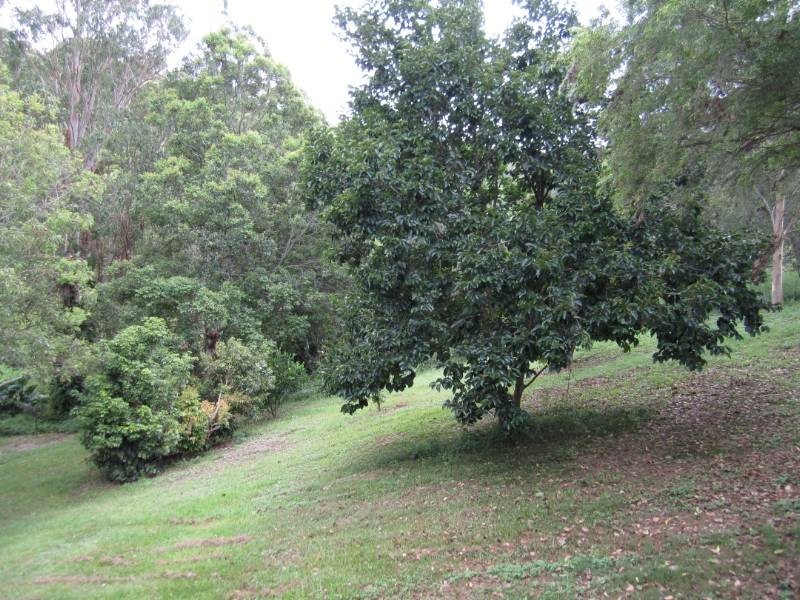 Cooran QLD 4569