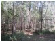 76 Eucalypt Way, Cootharaba QLD 4565