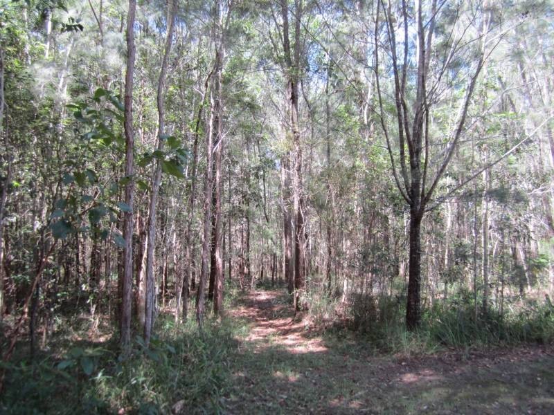 76 Eucalypt Way, Cootharaba QLD 4565