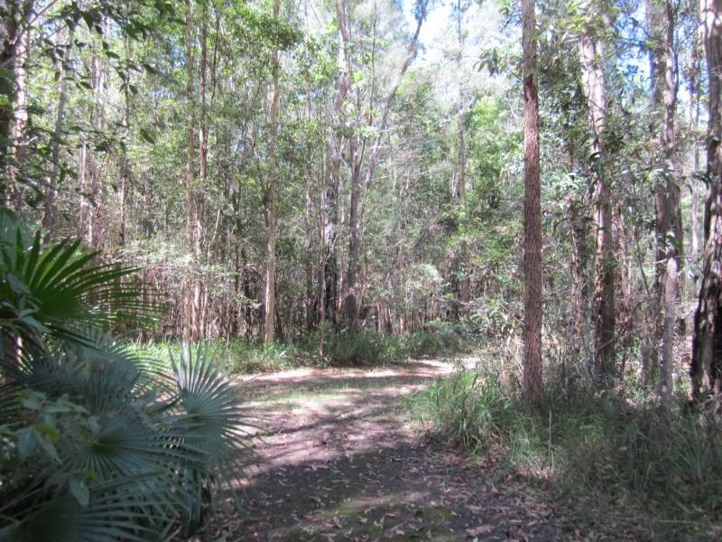76 Eucalypt Way, Cootharaba QLD 4565