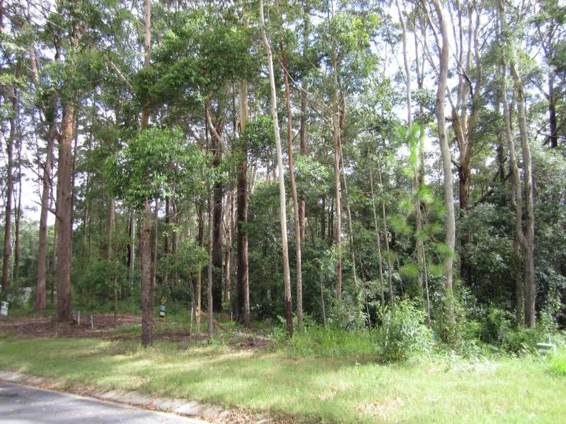 Eumundi QLD 4562