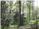 Eumundi QLD 4562