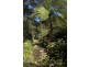 Cooran QLD 4569