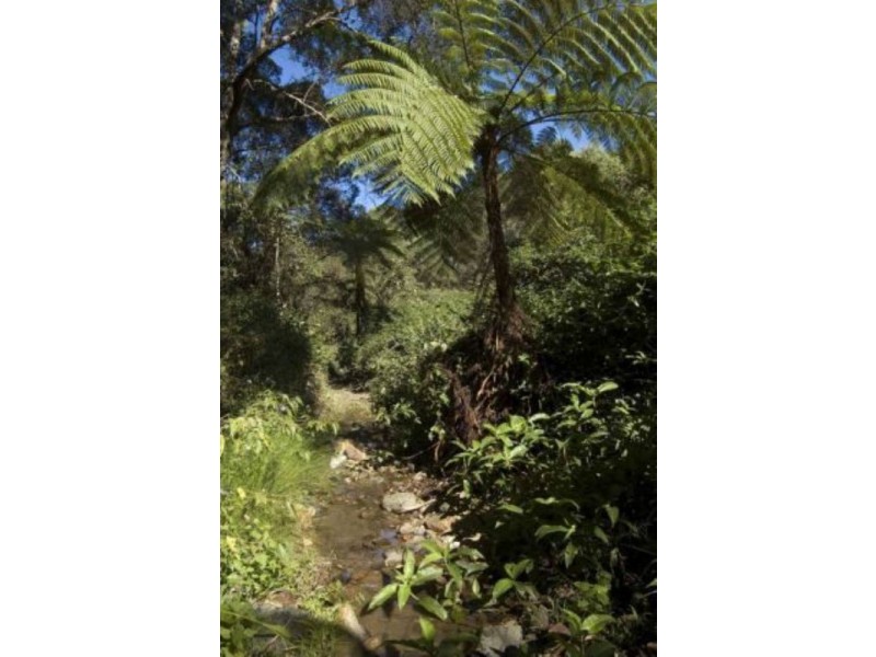 Cooran QLD 4569