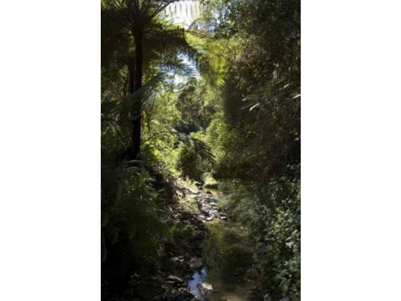 Cooran QLD 4569