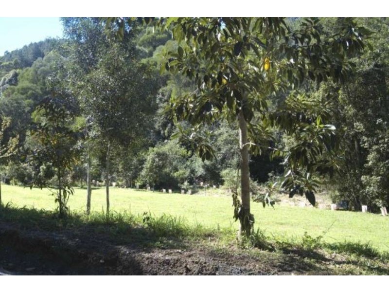 Cooran QLD 4569