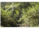 Cooran QLD 4569