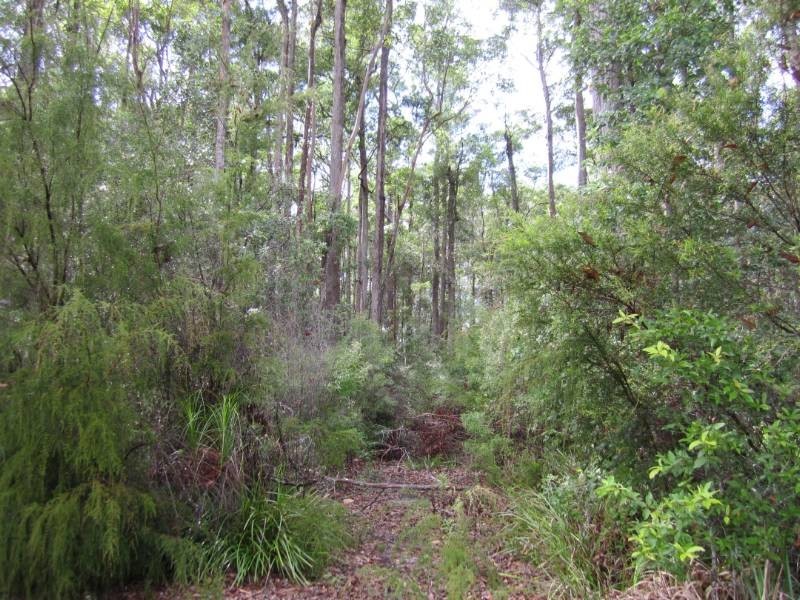 68 Hempsall Road, Cootharaba QLD 4565