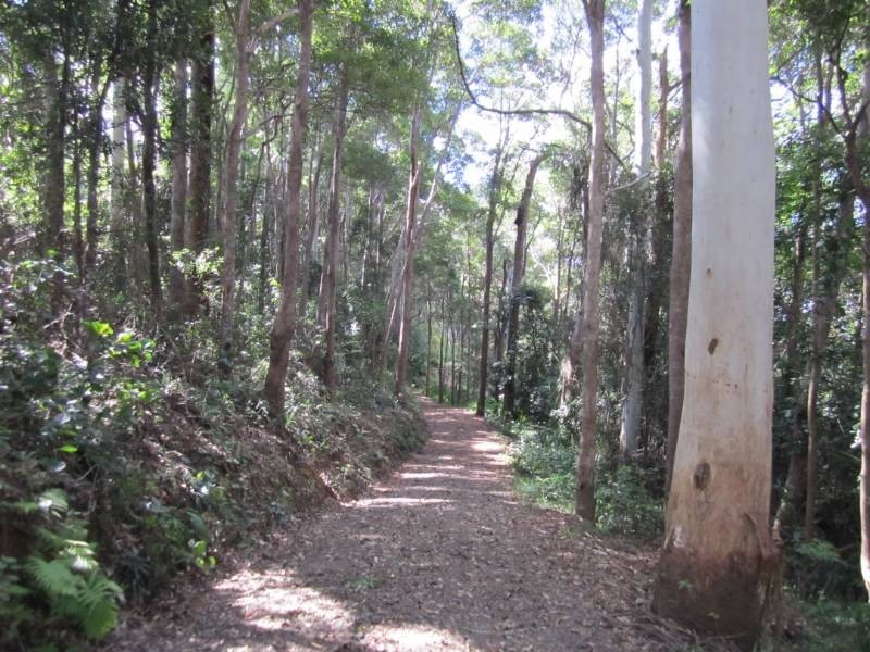 Cootharaba QLD 4565
