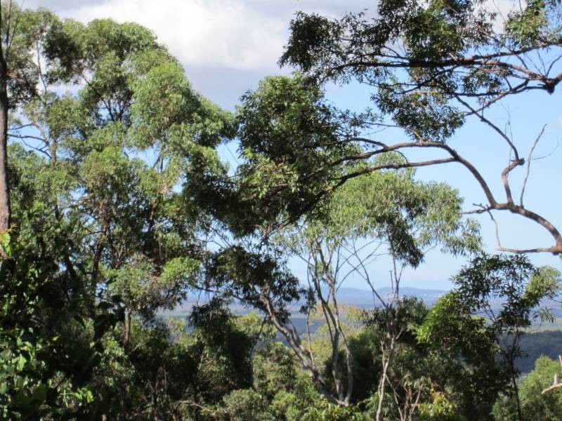 Cootharaba QLD 4565