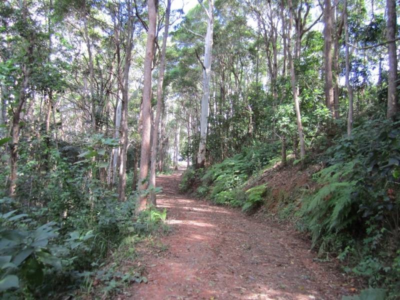 Cootharaba QLD 4565