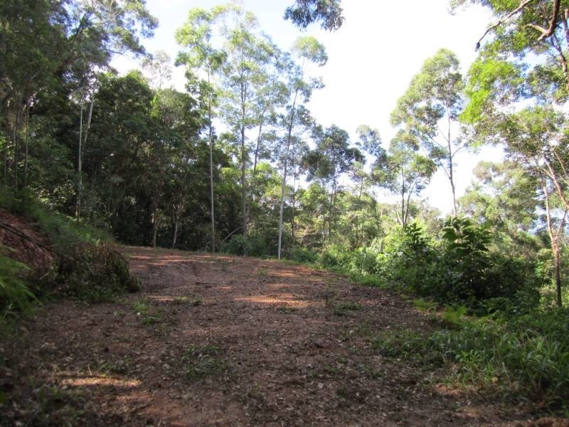 Cootharaba QLD 4565