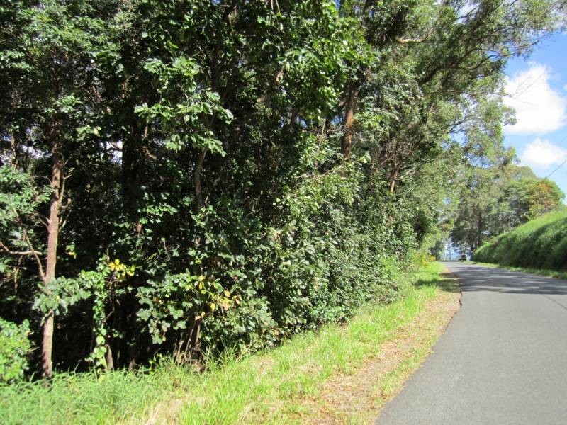 Cootharaba QLD 4565