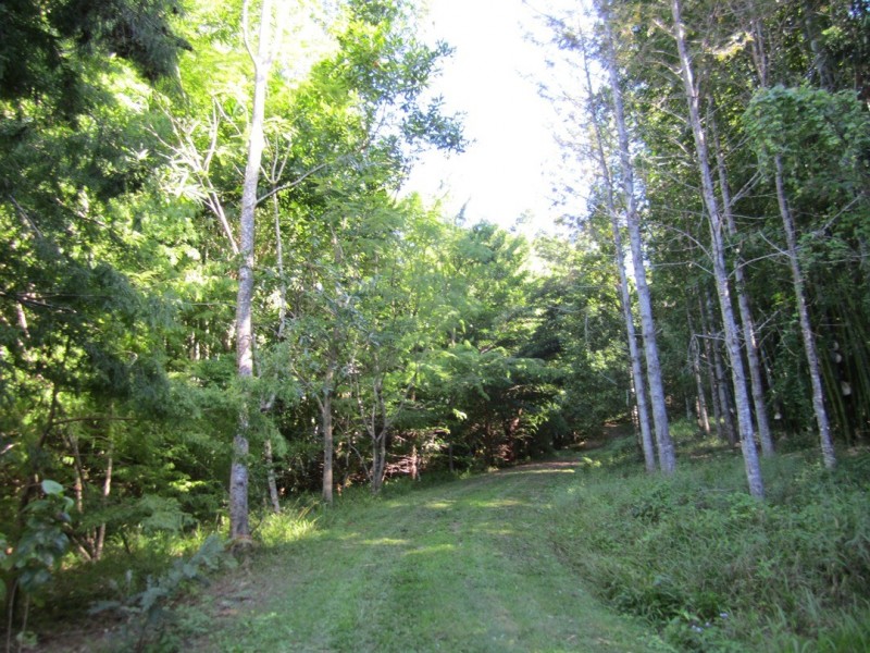 148 Eastern Branch Road, Kin Kin QLD 4571