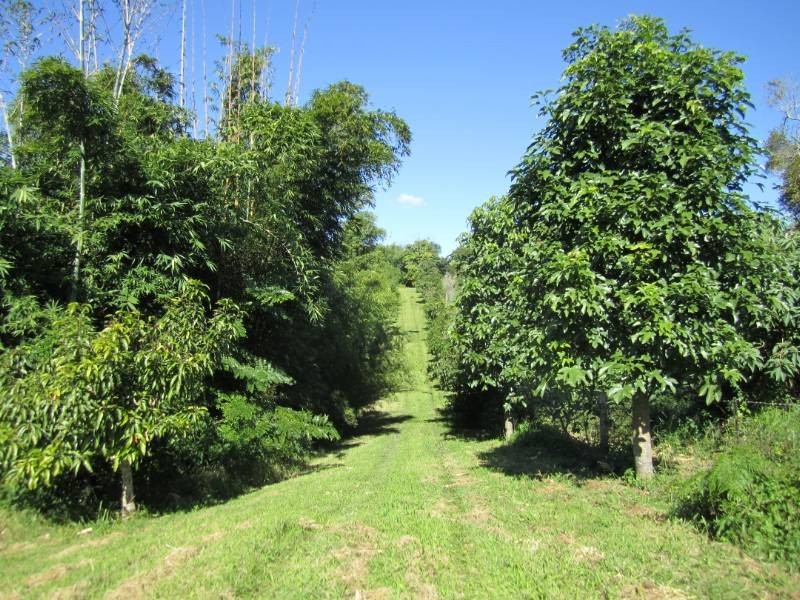 148 Eastern Branch Road, Kin Kin QLD 4571