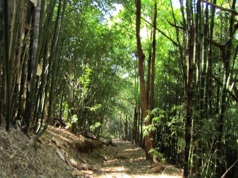 148 Eastern Branch Road, Kin Kin QLD 4571