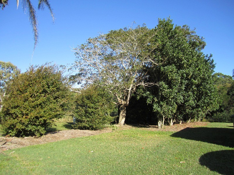 980 Cootharaba Road, Pomona QLD 4568