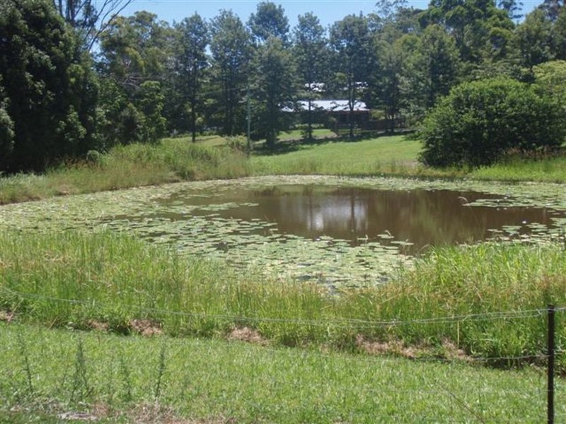 52 Queen St, Cooran QLD 4569