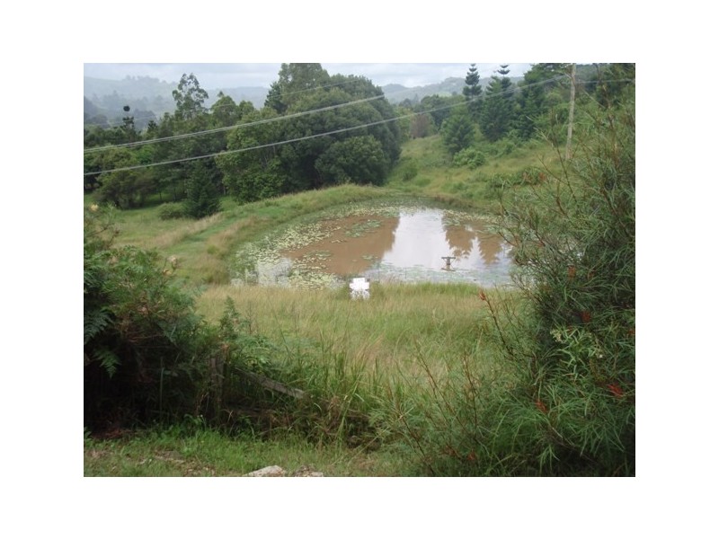 46 Middle Creek Road, Federal QLD 4568