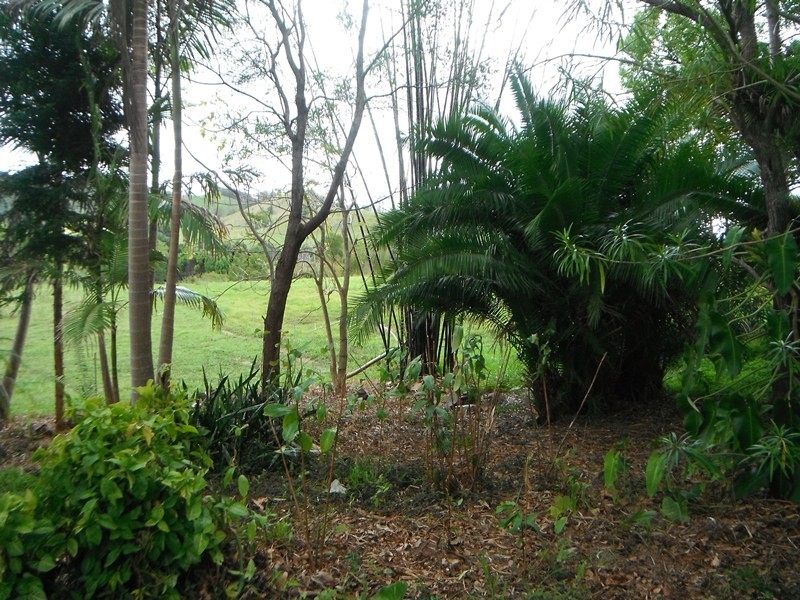 Kin Kin QLD 4571