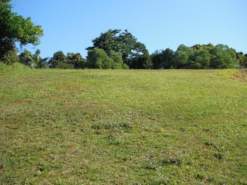 Pinbarren QLD 4568
