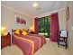 6 Palm Tree Court, Pomona QLD 4568