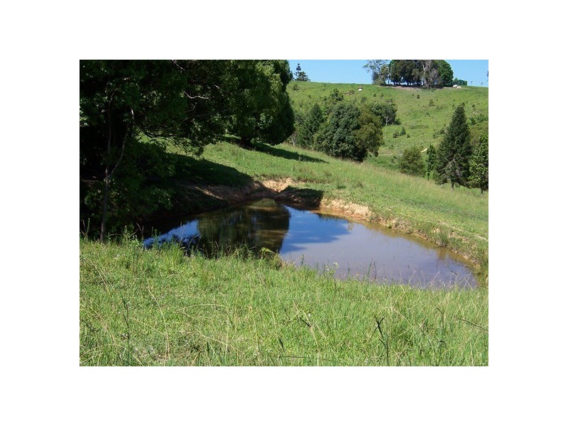 40 Binalong Rd, Pinbarren QLD 4568