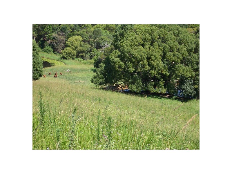 40 Binalong Rd, Pinbarren QLD 4568