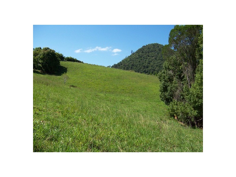 40 Binalong Rd, Pinbarren QLD 4568