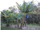 980 Cootharaba Road, Cootharaba QLD 4565