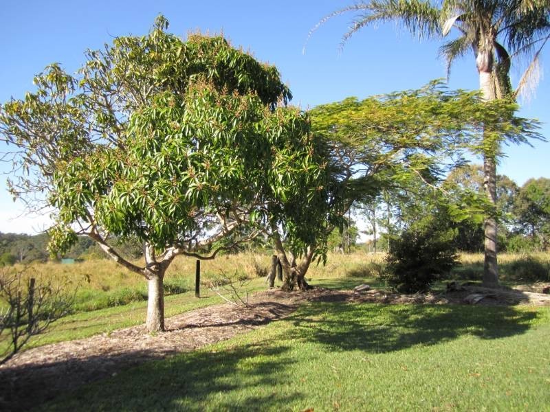 980 Cootharaba Road, Cootharaba QLD 4565