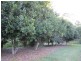 980 Cootharaba Road, Cootharaba QLD 4565