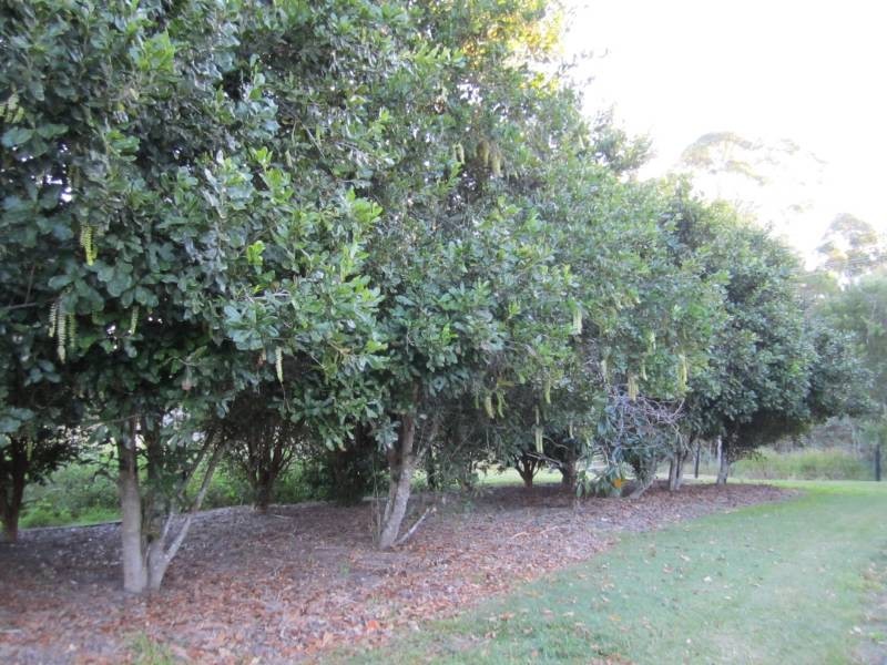 980 Cootharaba Road, Cootharaba QLD 4565