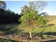 980 Cootharaba Road, Cootharaba QLD 4565