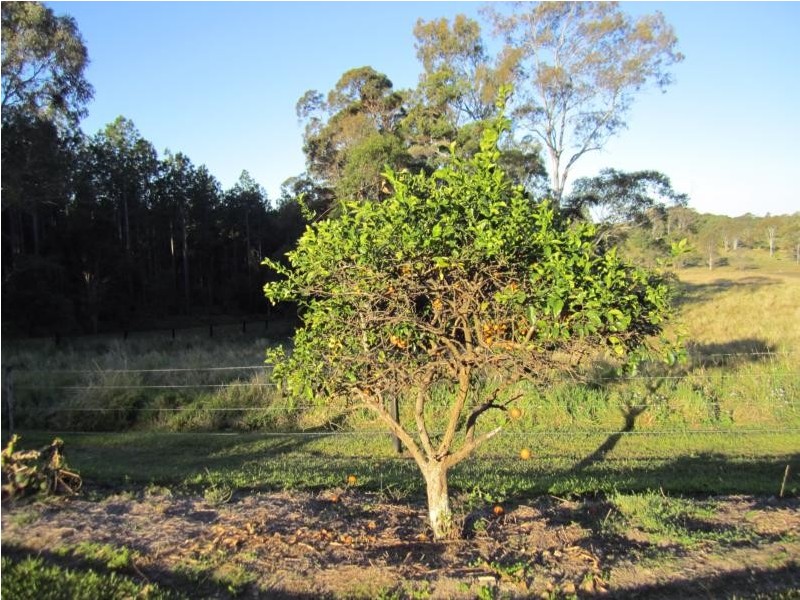 980 Cootharaba Road, Cootharaba QLD 4565