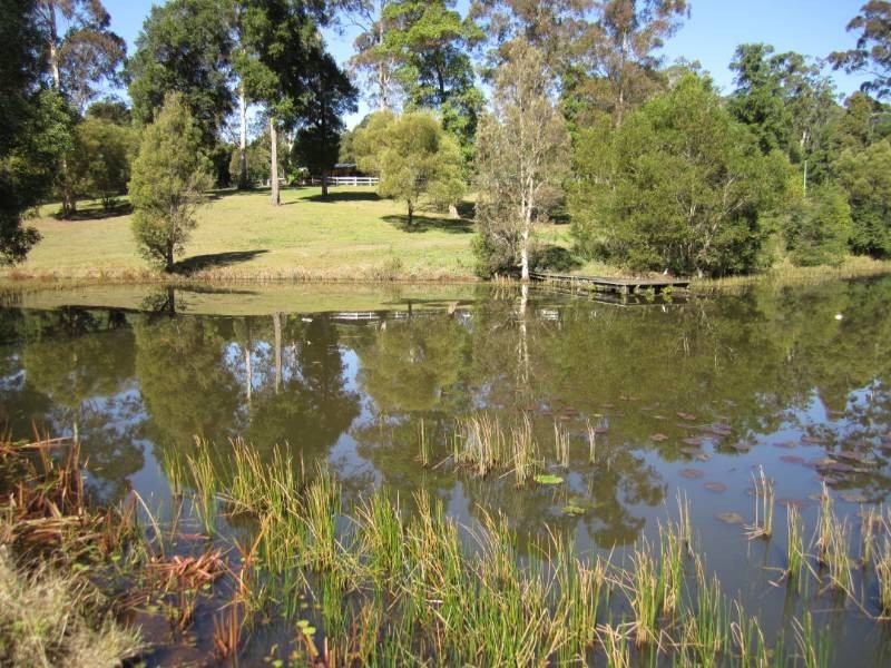 46 Ferguson Road, Pomona QLD 4568