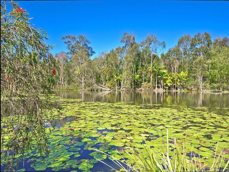 472 McKinnon Dve, Tewantin QLD 4565