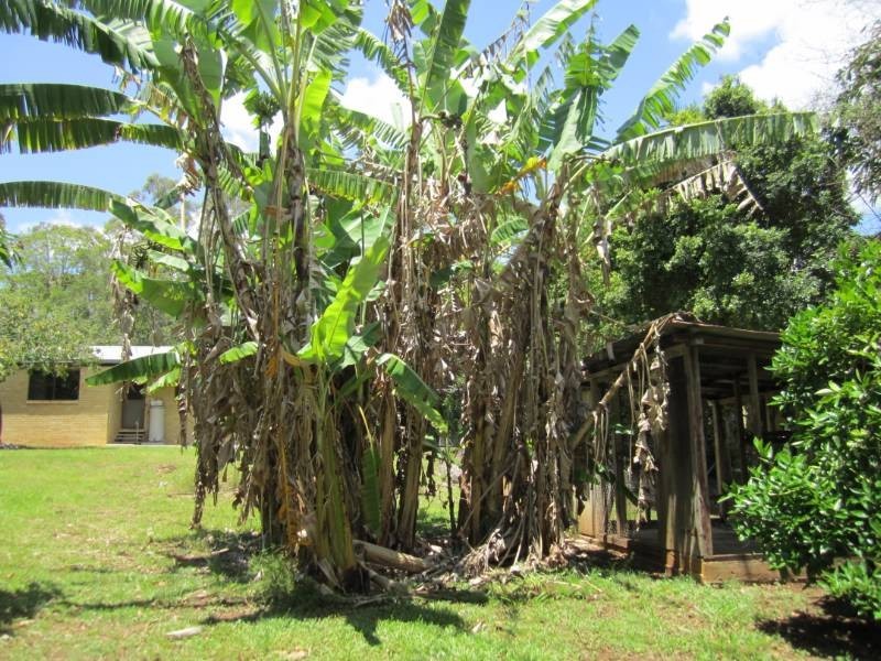 84 Summit Road, Pomona QLD 4568