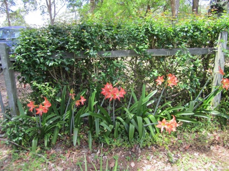 84 Summit Road, Pomona QLD 4568