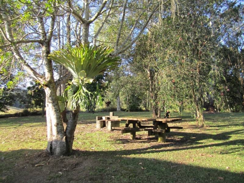 Cooran QLD 4569