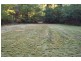 53 Stratford Park Drive, Pomona QLD 4568