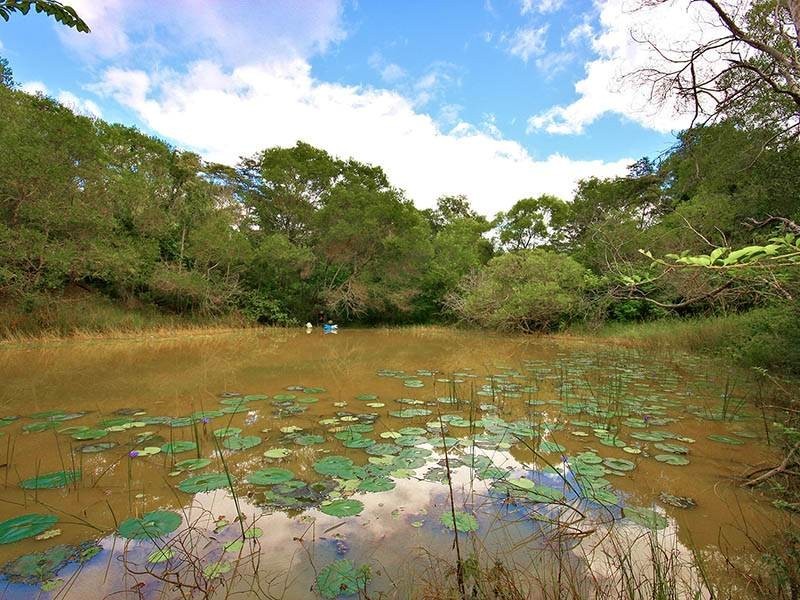 309 Black Pinch Road, Pomona QLD 4568