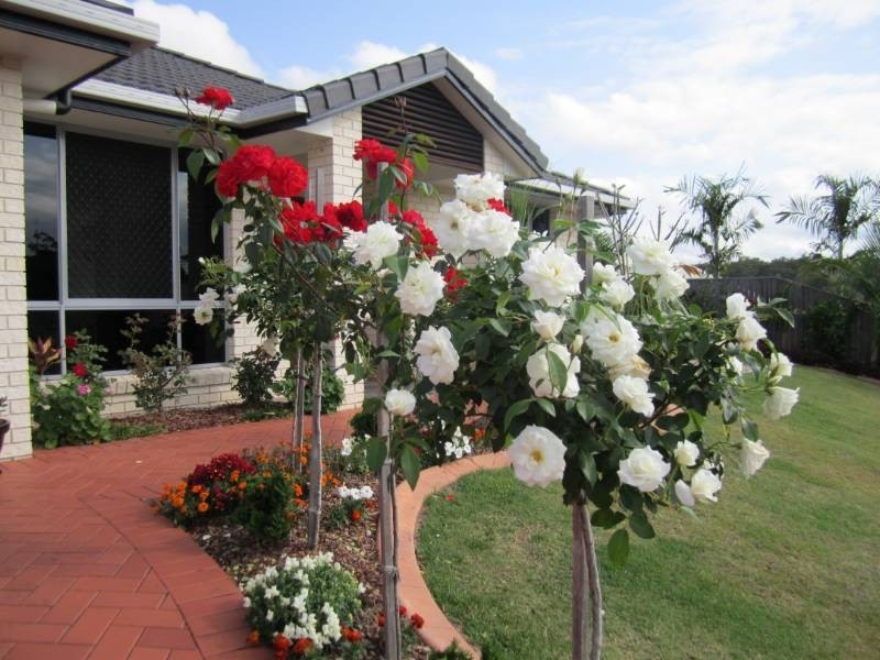 1 Whistler Way, Pomona QLD 4568