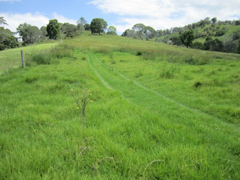 Cooran QLD 4569